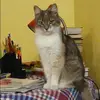 Отзыв от Роза Дьяконова